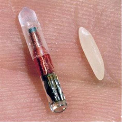 rfid radio frequency identification chip implanted in all us citizens|Microchip implant (human) .